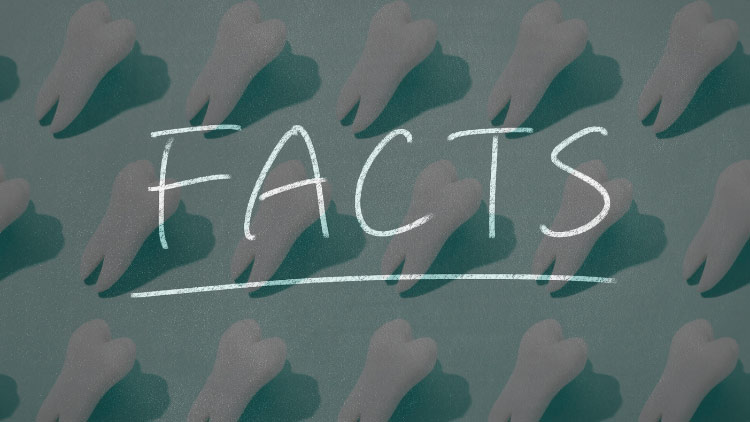 15 Dental Facts That May Surprise You Dr Balog Blog