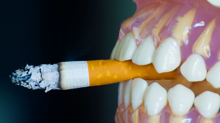 The Effects Of Smoking On Your Dental Health Gregory Balog DDS Monroe Michigan